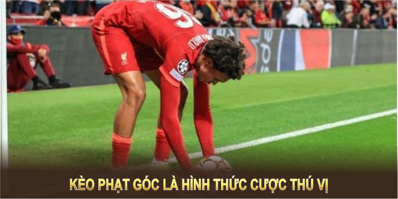 Kèo phạt góc là hình thức cược thú vị và dễ tham gia